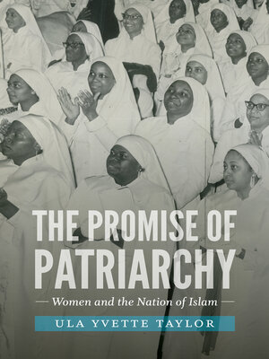 cover image of The Promise of Patriarchy